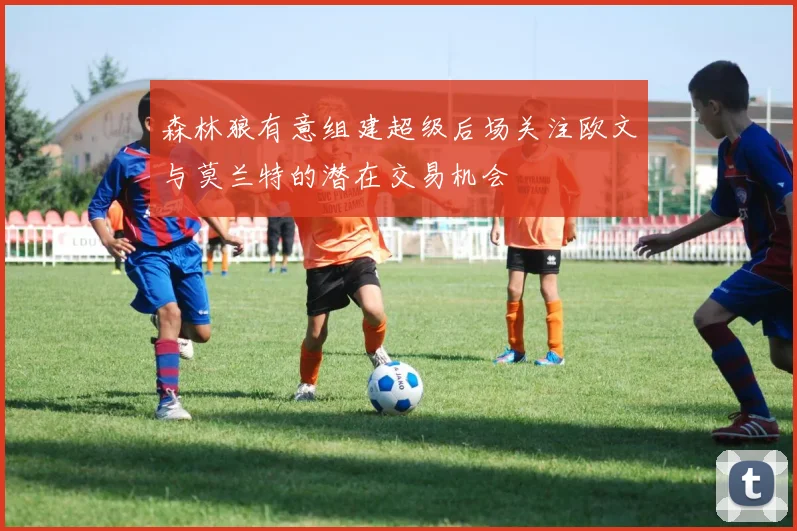 森林狼有意组建超级后场关注欧文与莫兰特的潜在交易机会