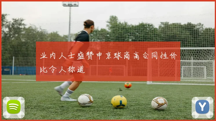 业内人士盛赞申京球商高合同性价比令人称道